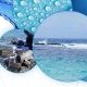 Séminaire sur le "Plan Eau DOM" de l'Office de l'Eau de la Guadeloupe