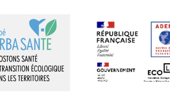 Urbanisme, santé et Guadeloupe en 2025